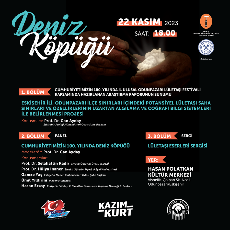 DENİZ KÖPÜĞÜ