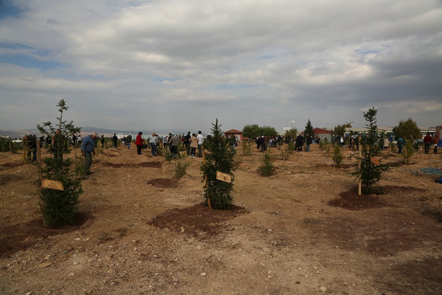 ​New Forests To Eskişehir