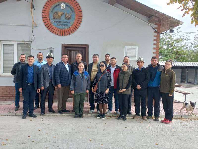 Kırgızistanlı veteriner hekimler Odunpazarı Geçici Hayvan Bakımevini ziyaret etti