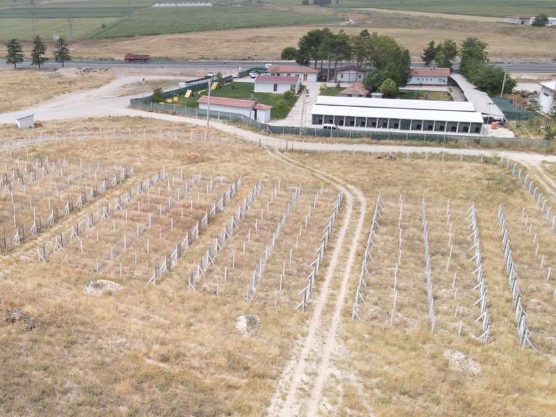 Mahkeme Odunpazarı Belediyesi Geçici Hayvan Bakımevi’ni kapatamazsınız dedi!