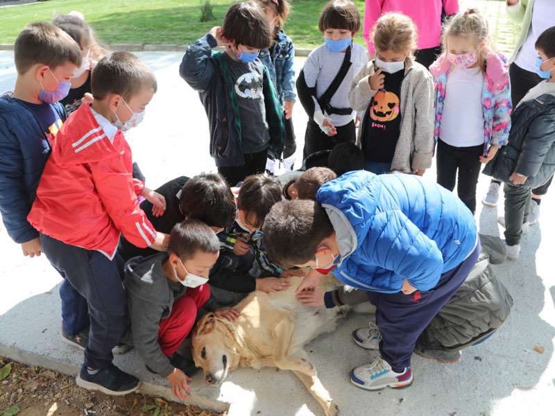 Miniklerden Odunpazarı Belediyesi Geçici Hayvan Bakım Merkezi’ne anlamlı ziyaret