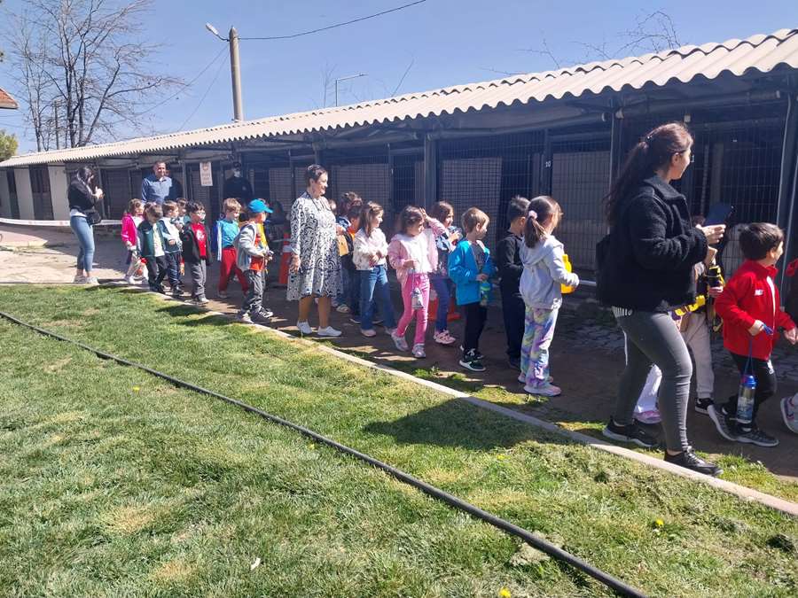 Miniklerden Odunpazarı’nın Sahipsiz Sokak Hayvanları Bakım ve Rehabilitasyon Merkezi’ne anlamlı ziyaret