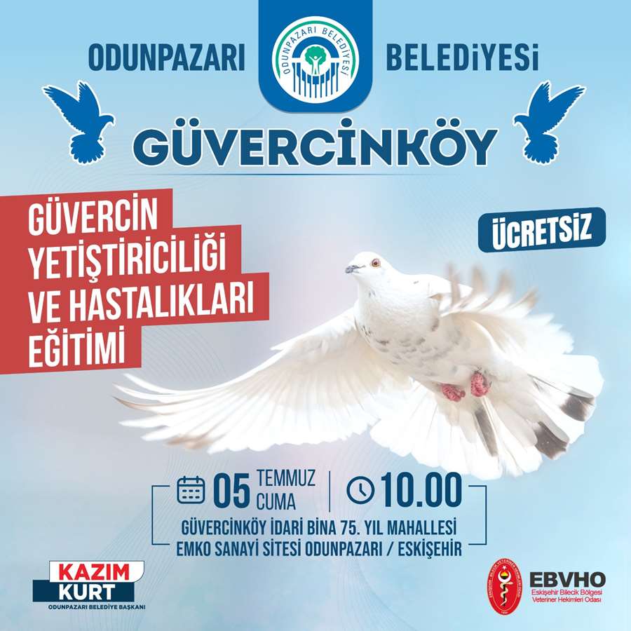 Odunpazarı Güvercin Yetiştiriciliği ve Hastalıkları Eğitimi düzenleyecek