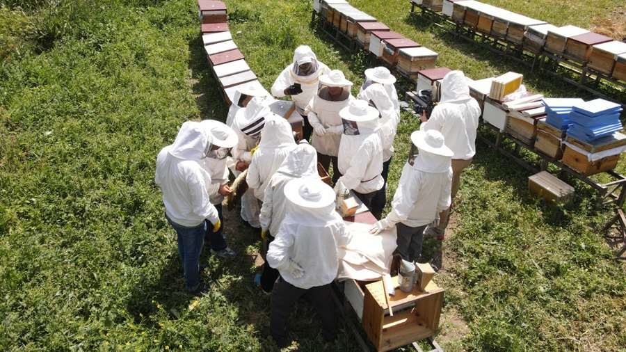 Odunpazarı’nda arıcılık eğitimleri başladı