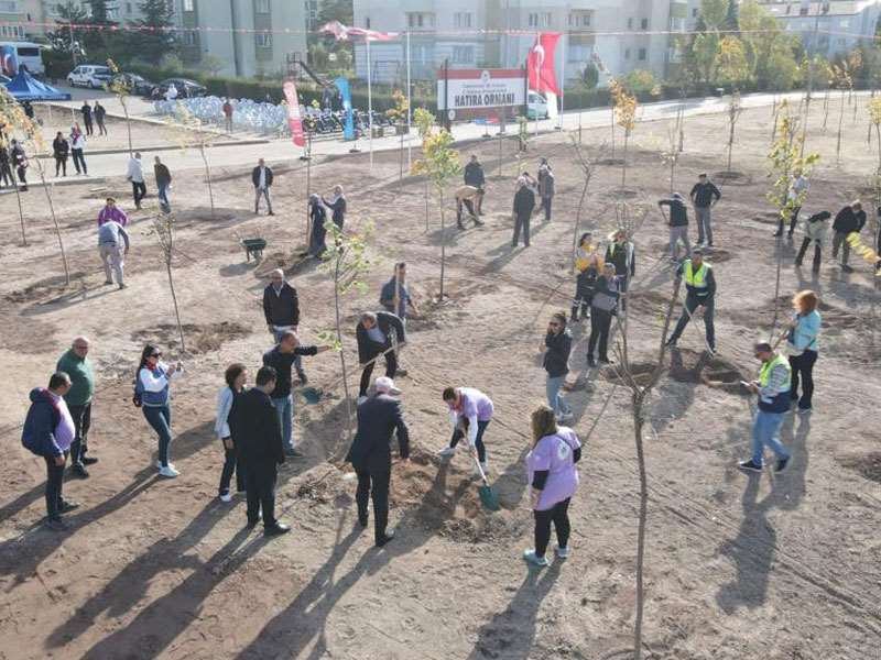 Odunpazarı’ndan 100. yıl ve Odunpazarı 3D Gençlik Festivali anısına Odunpazarı’na yeni orman 