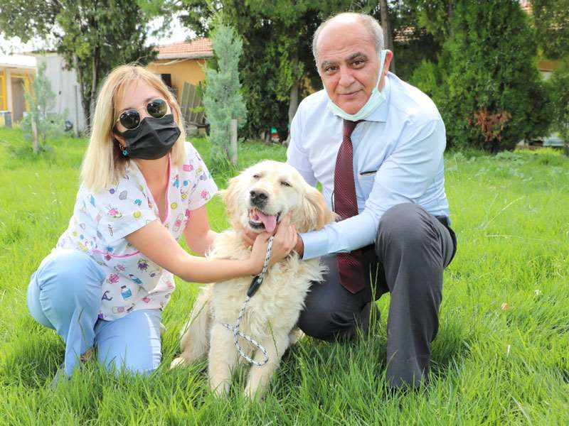 Siz de sahipsiz evcil hayvanlardan dost edinebilirsiniz
