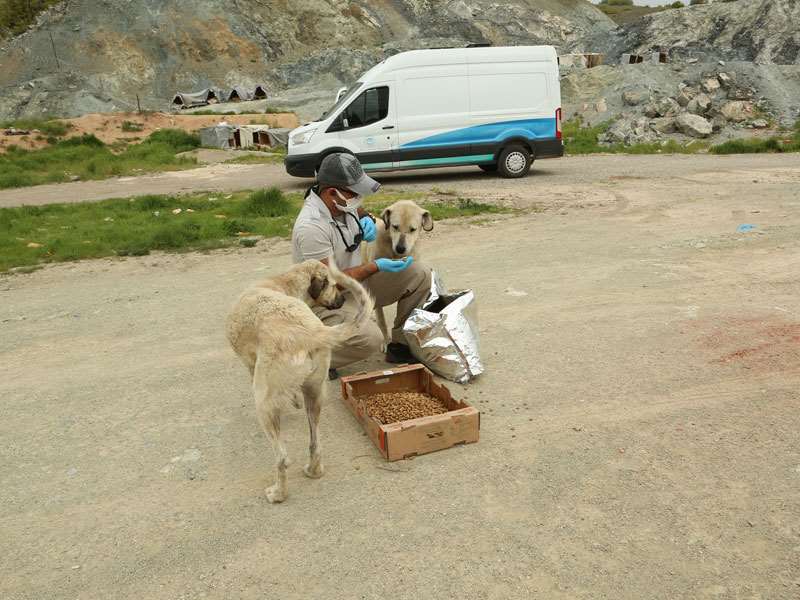 Tam kapanmada sokakta yaşayan dostlarımız unutulmadı