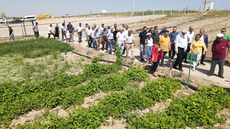 "Tarla Günü"nde 15 farklı çeşit üreticiyle buluşacak