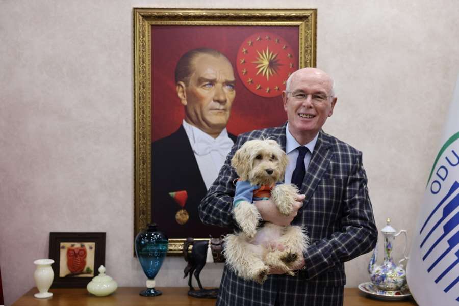 Terk edilmişlikten sevgiye