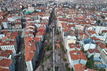 Hamamyolu Caddesi’nde ağaç budama çalışması başlıyor