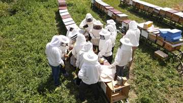 Odunpazarı’nda arıcılık eğitimleri başladı