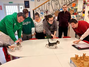 Özel çocuklardan sokak hayvanlarına sıcak yuva