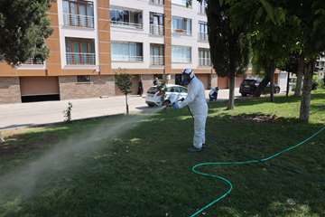 Yaz aylarında artan kene tehlikesine karşı Odunpazarı Belediyesi’nden etkili mücadele